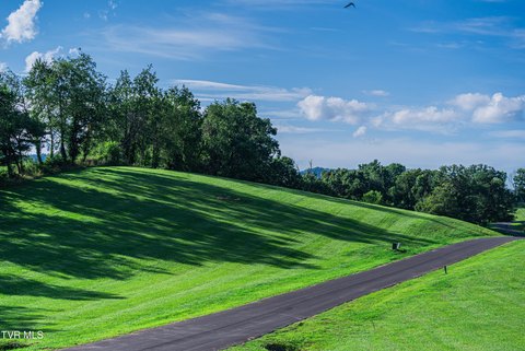 Homesite with Lake Access