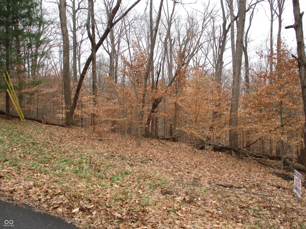 Picture 2