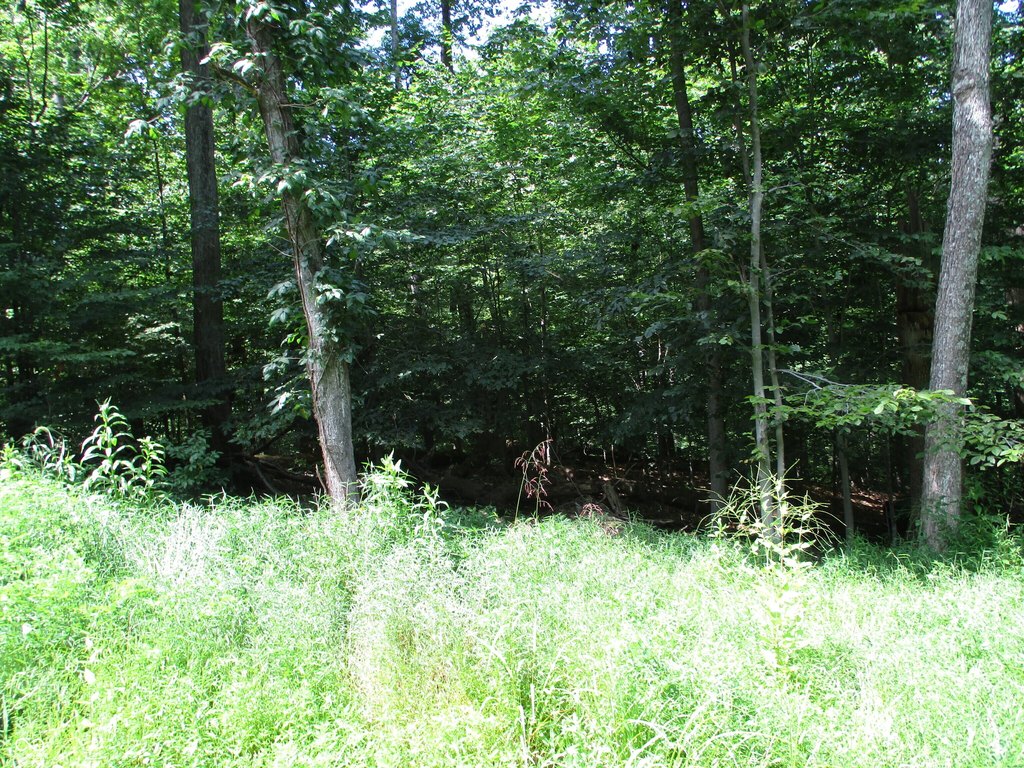 Picture 2