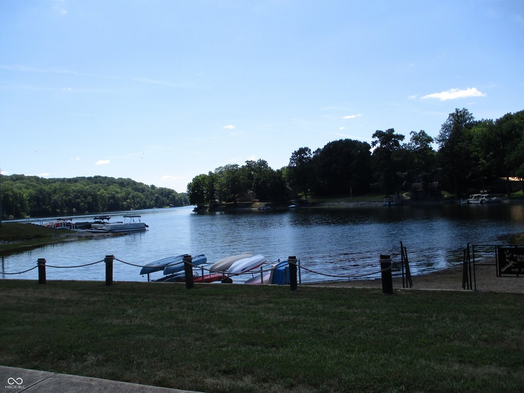 Picture 11