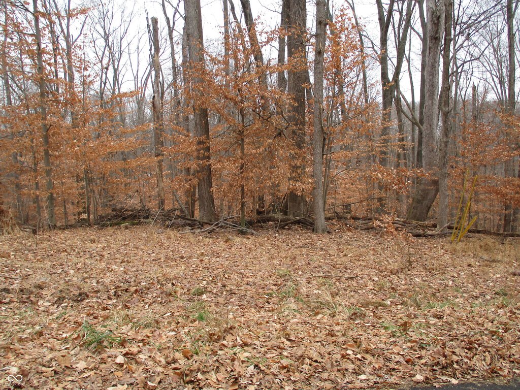 Picture 3