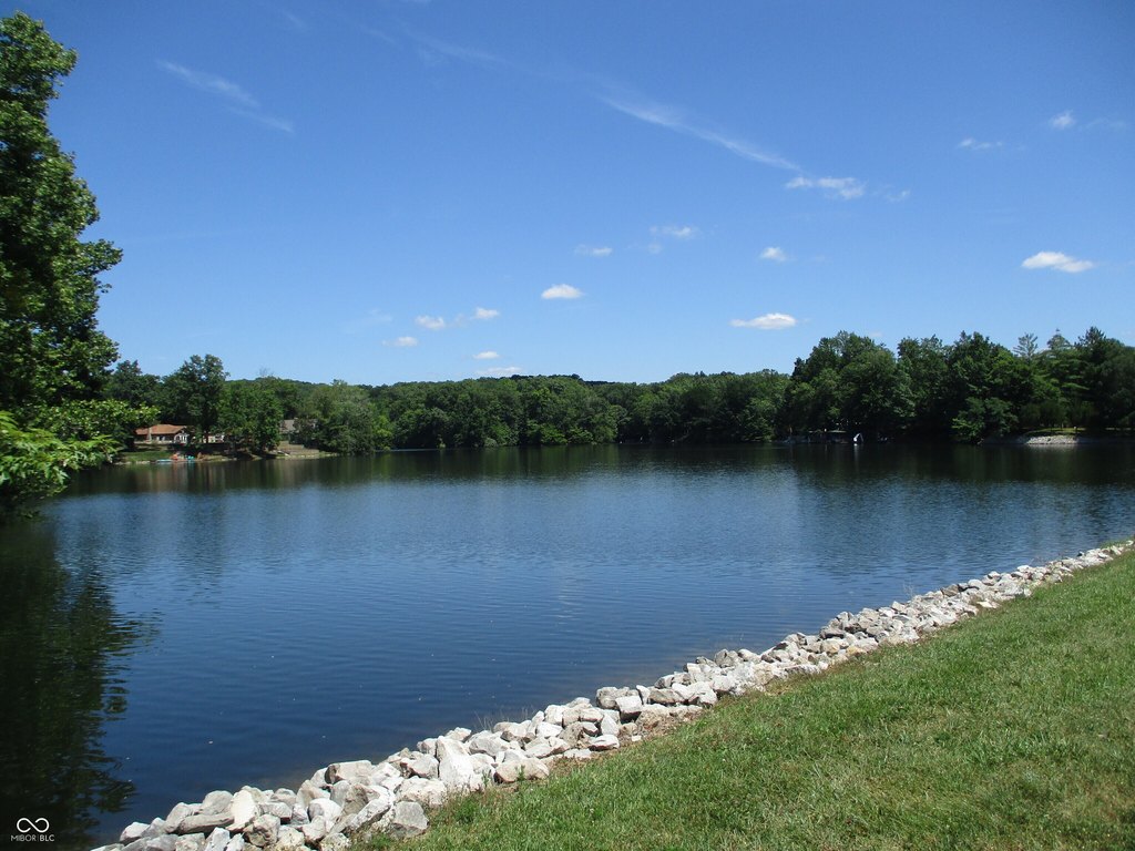 Picture 8