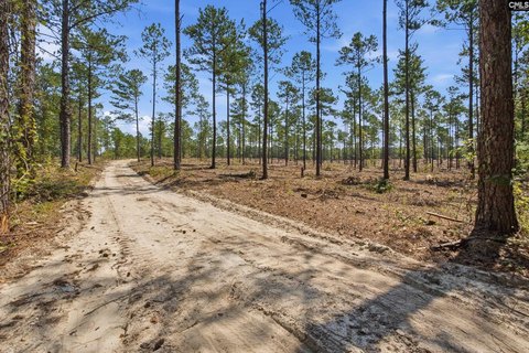 Creek-Bordered Hunting Land