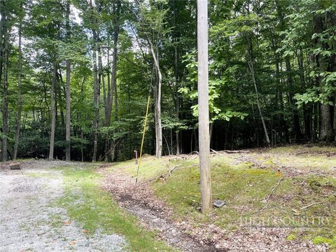 Land, Beech Mountain, NC