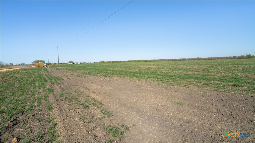 Picture 7