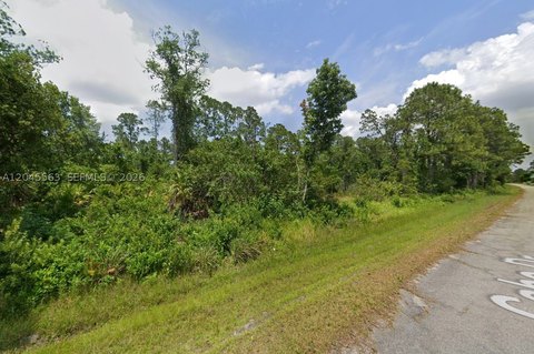 Single-Family Residential Lot
