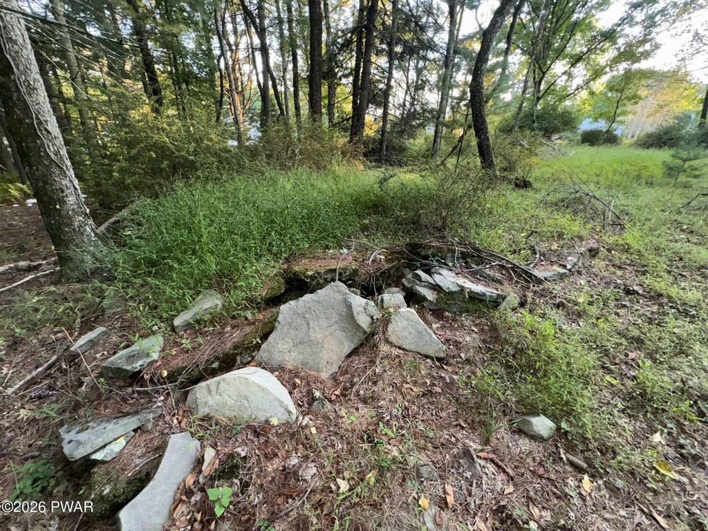 Picture 10