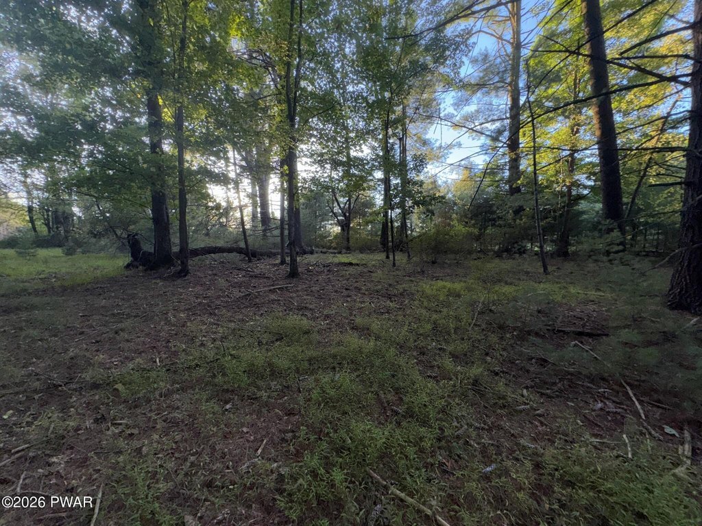 Picture 13