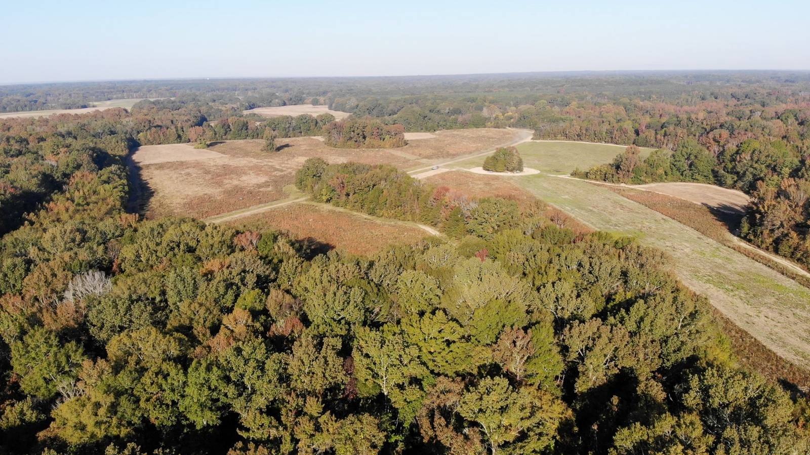 Yazoo County Farm and Estate