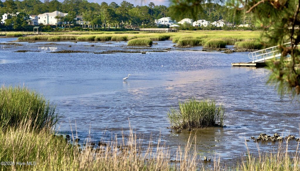 Picture 23