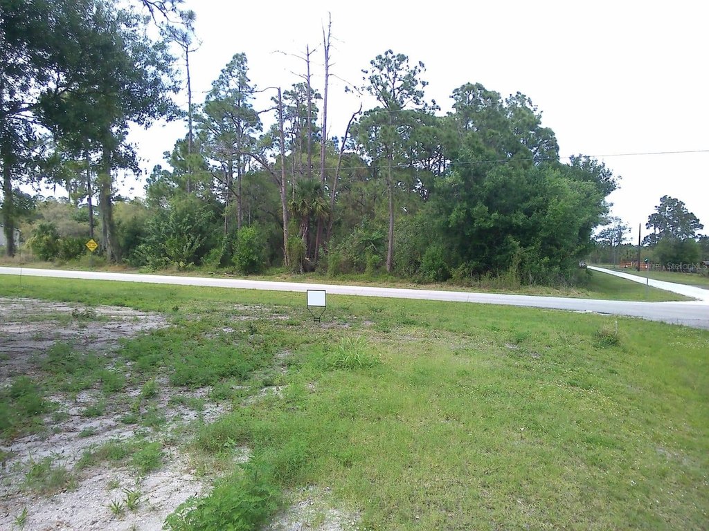 Picture 5