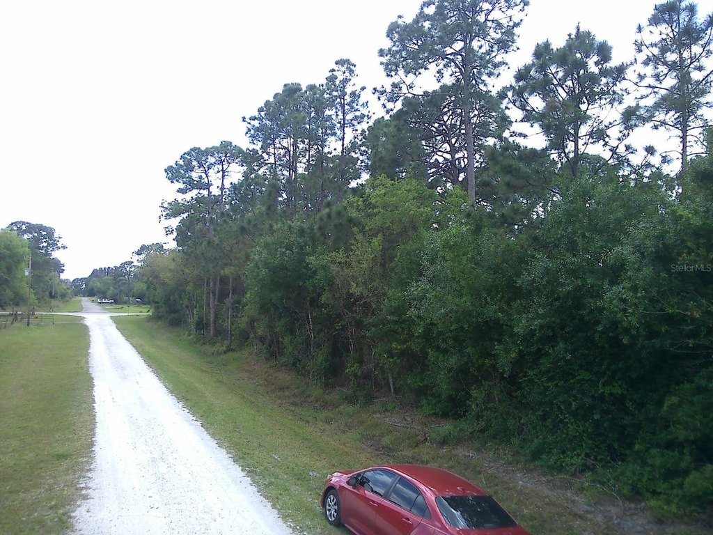 Picture 10