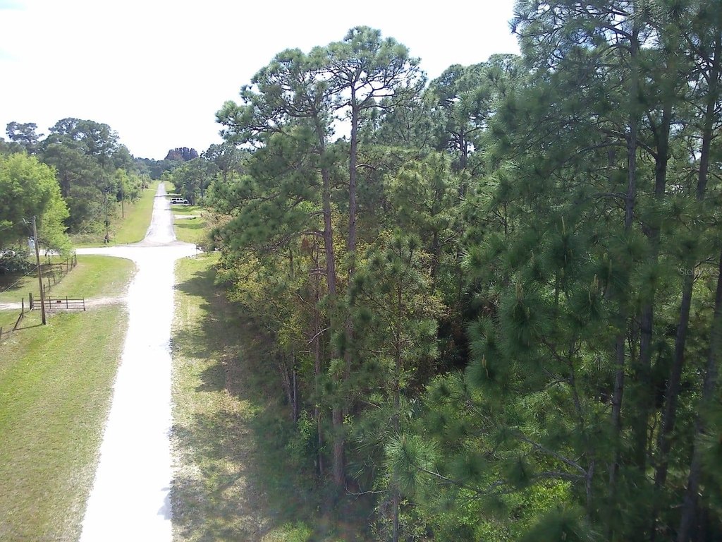 Picture 9