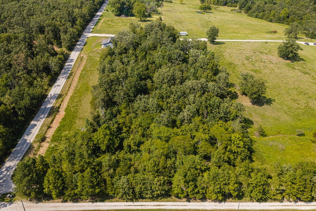 Picture 5