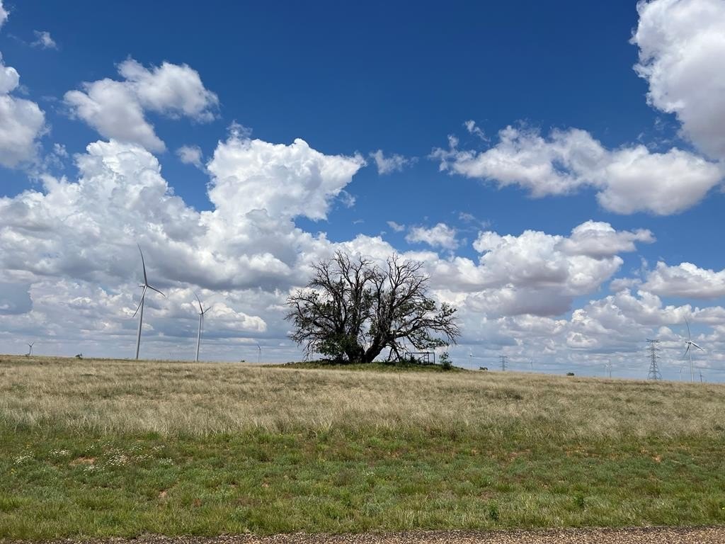 Land Near Snyder, Texas