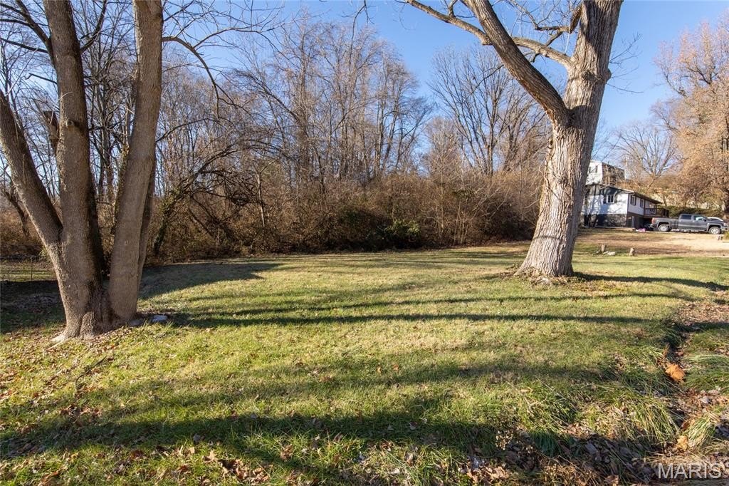 Picture 6