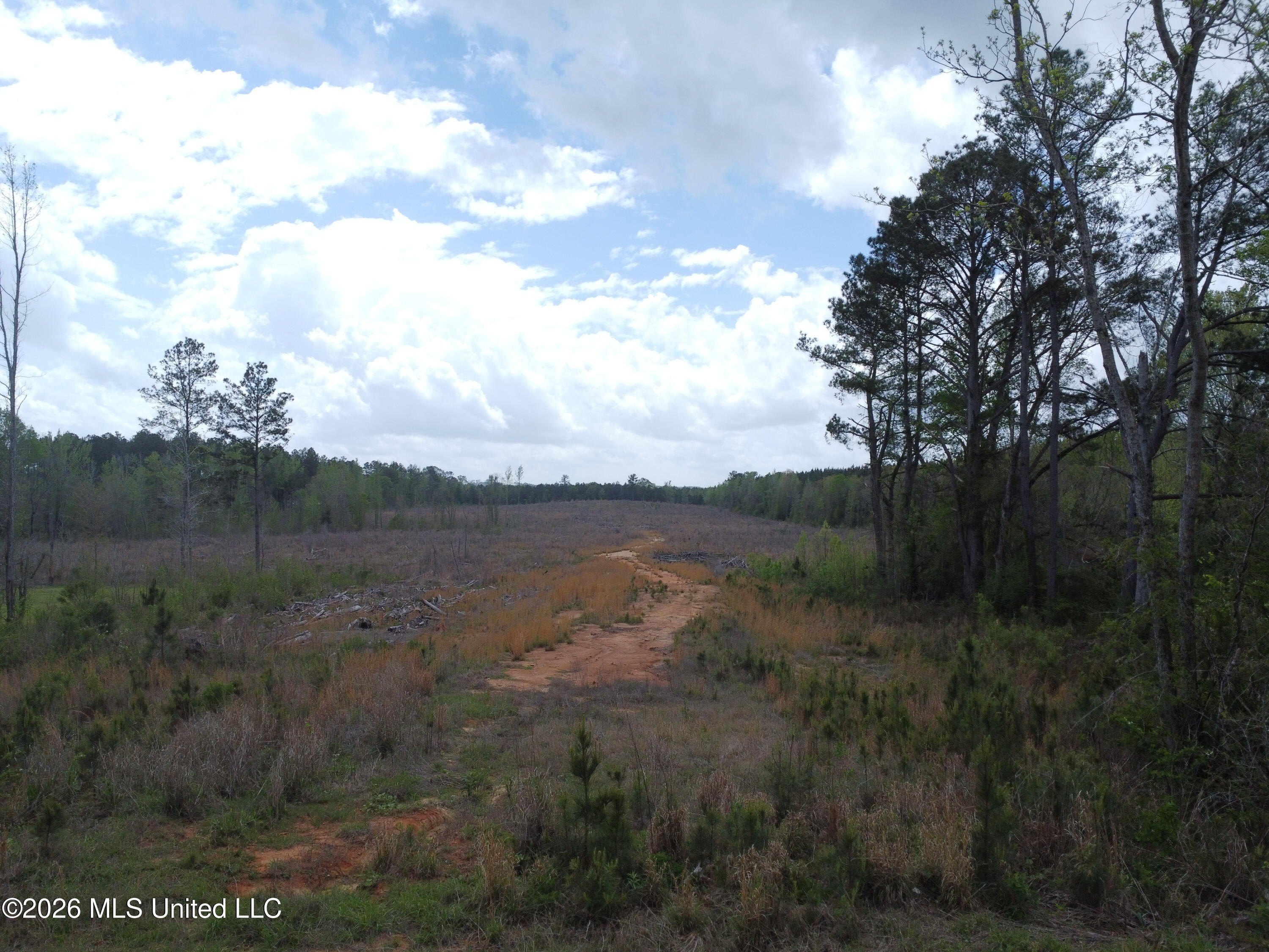 32.5 Acres in Toomsuba, MS