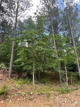 LAND - Broken Bow, OK