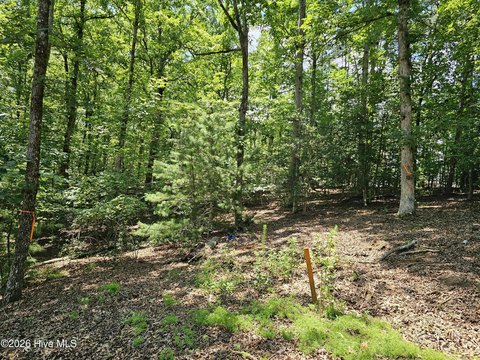 LAND - Murphy, NC