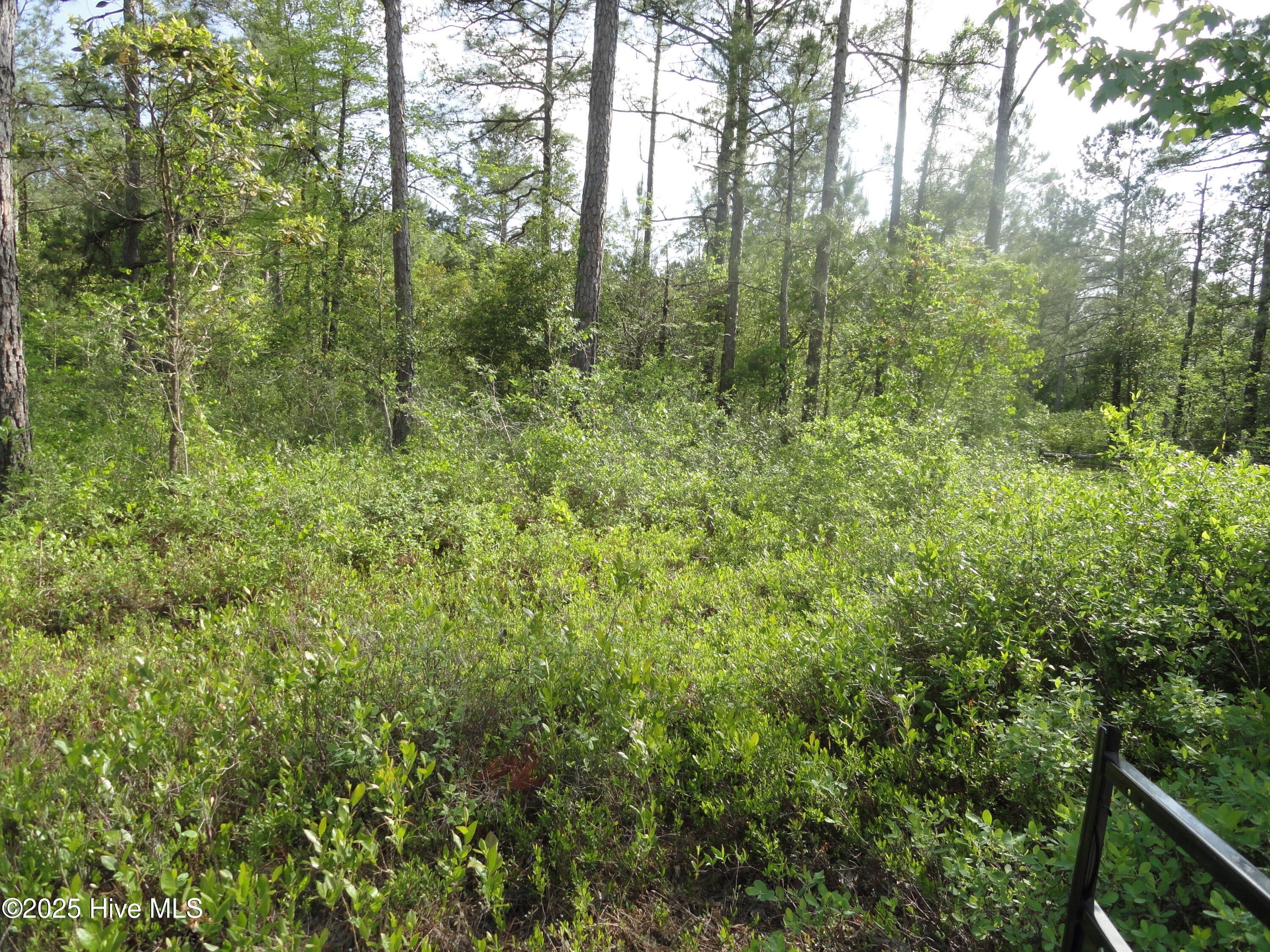 Riverfront Lot Near Wilmington