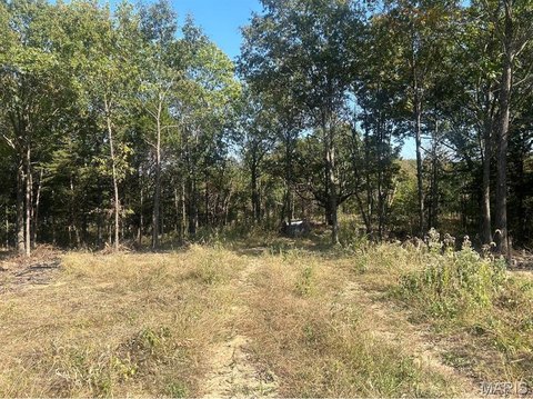Single-Family Walk-Out Lot on Cul-de-Sac