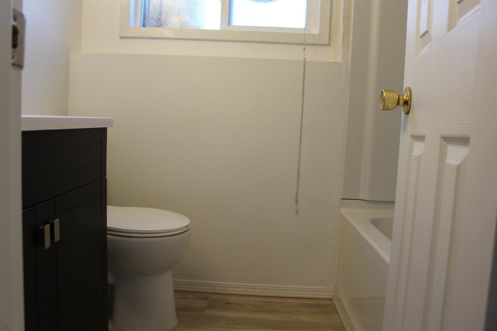 Picture 12