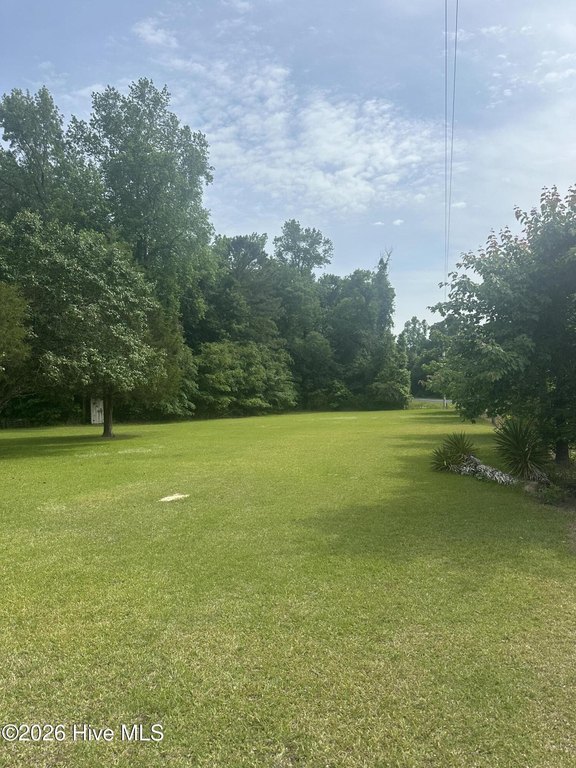 Picture 3