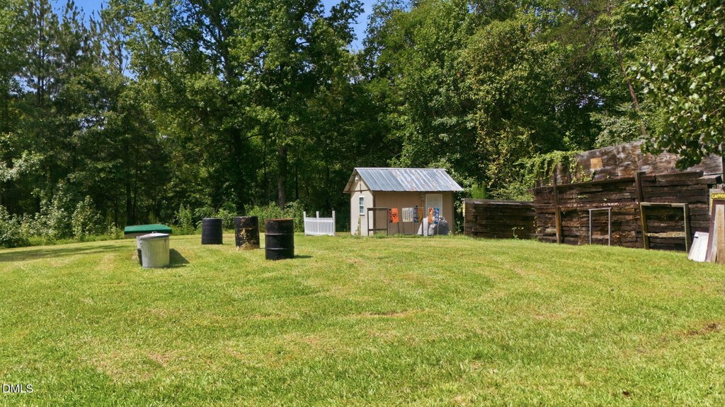 Picture 15