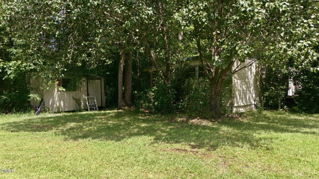 Picture 16