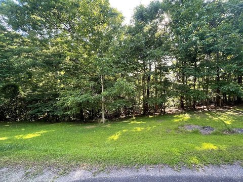 Wooded Lot in Ball Ground