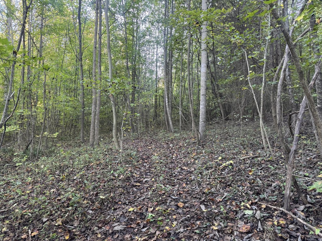Picture 4