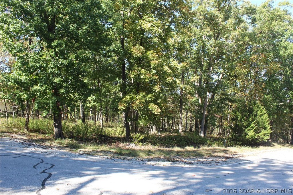 Picture 9