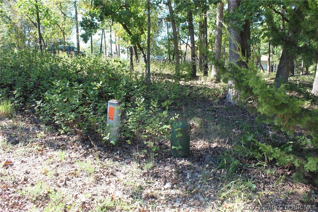 Picture 8