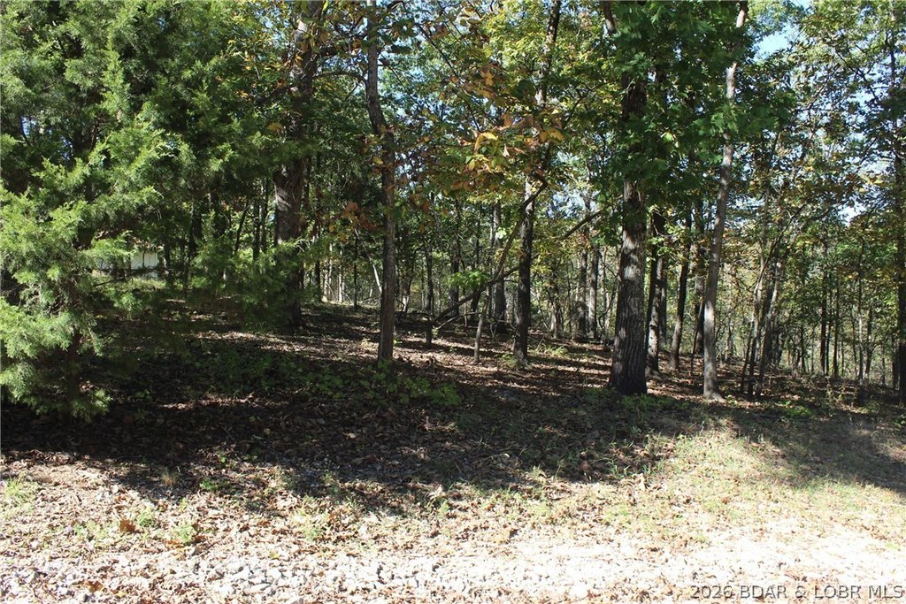 Picture 5