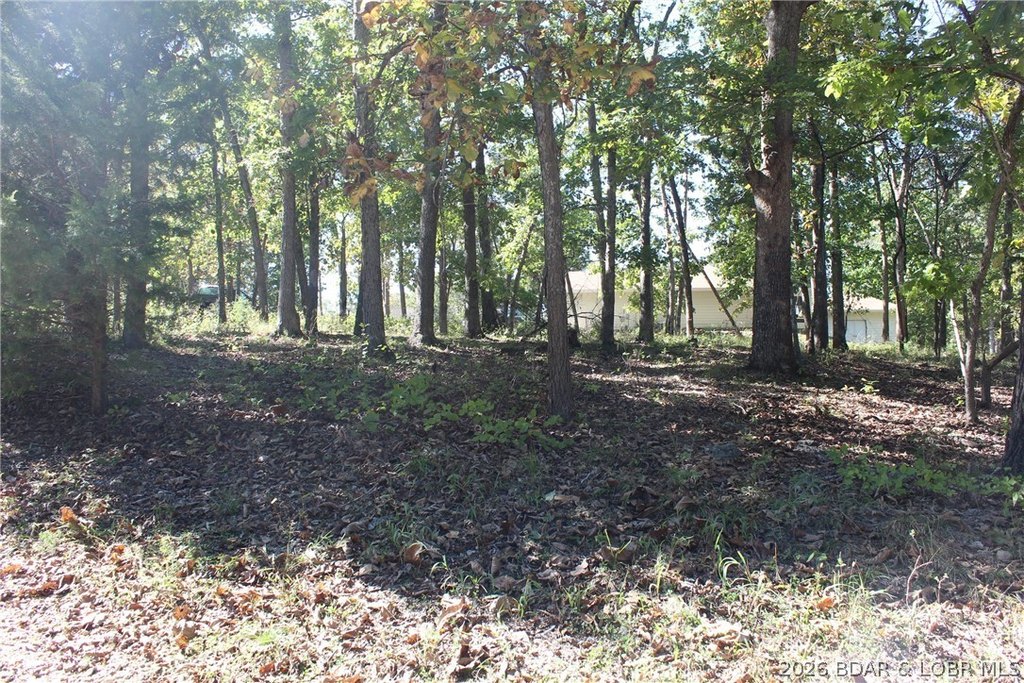 Picture 6