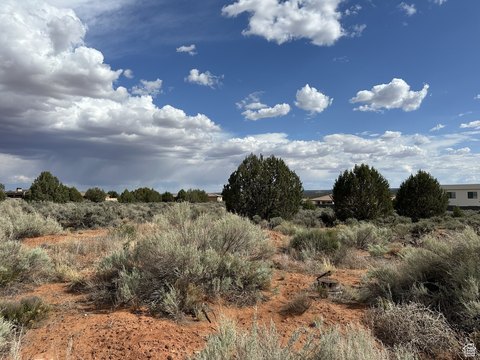 LAND - Apple Valley, UT