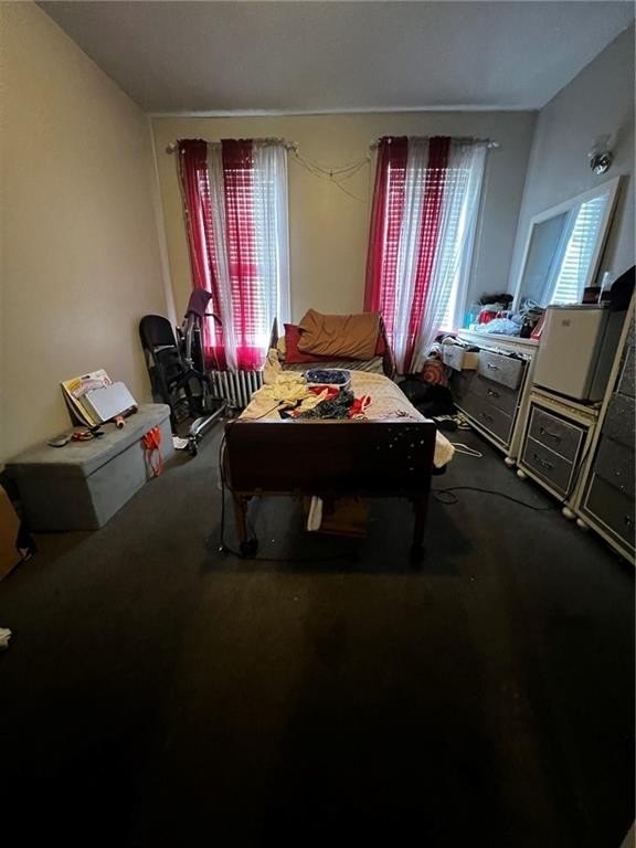 Picture 17