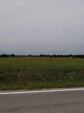 Battlefield, MO Land For Sale