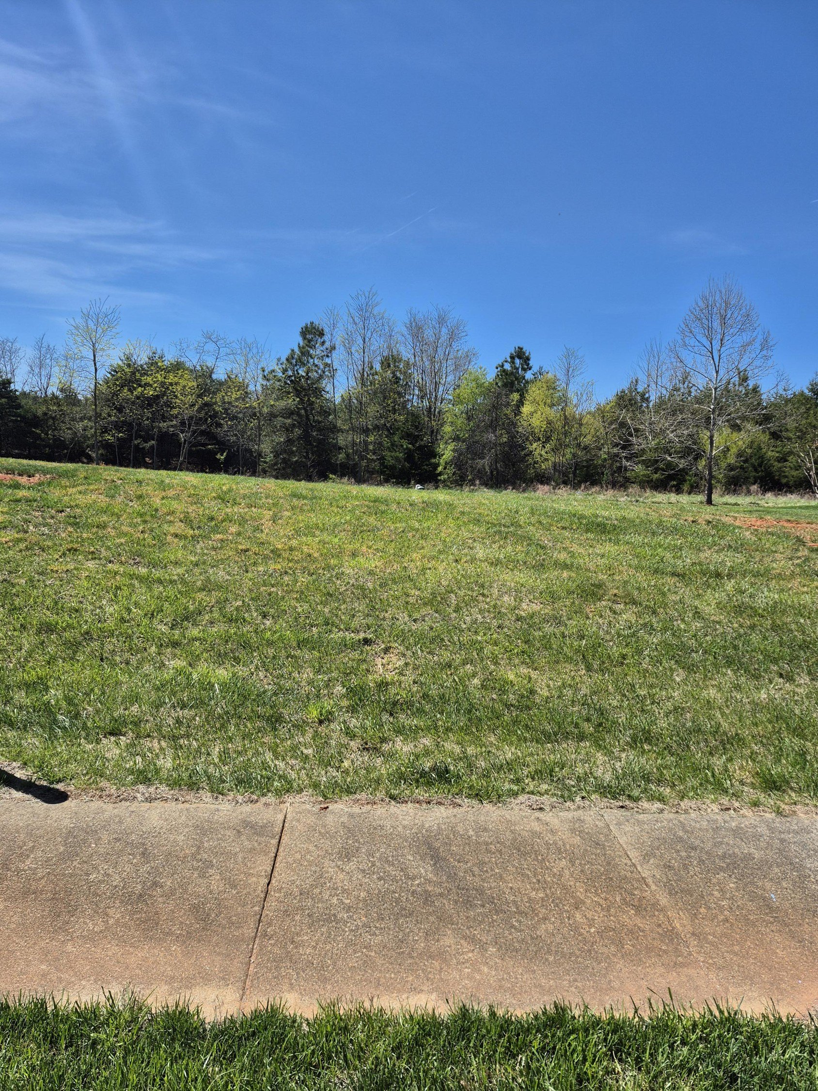 Residential Land Near Smith Mountain