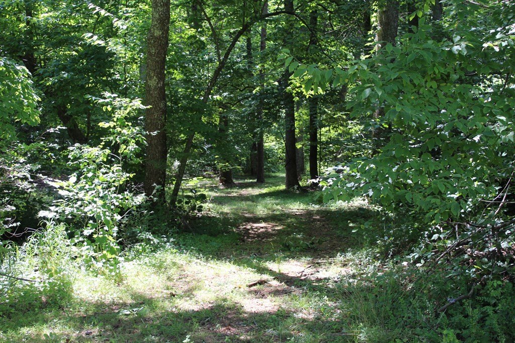 Picture 8