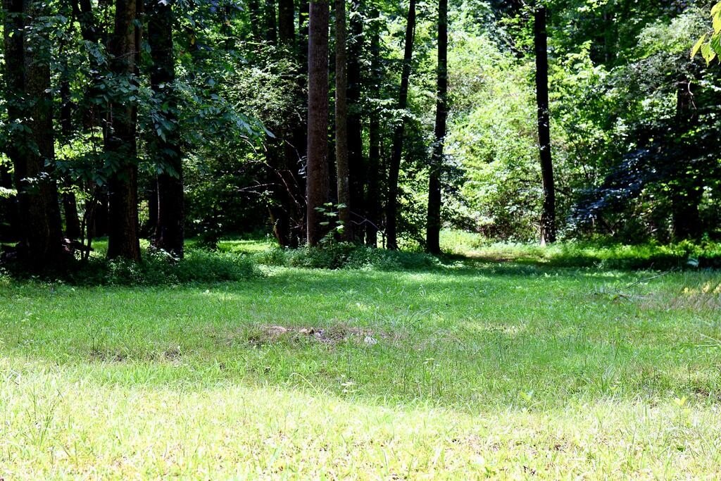 Picture 7