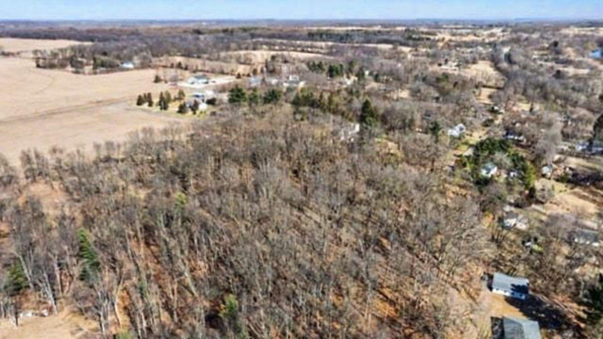 Albion, MI Wooded Land Parcel
