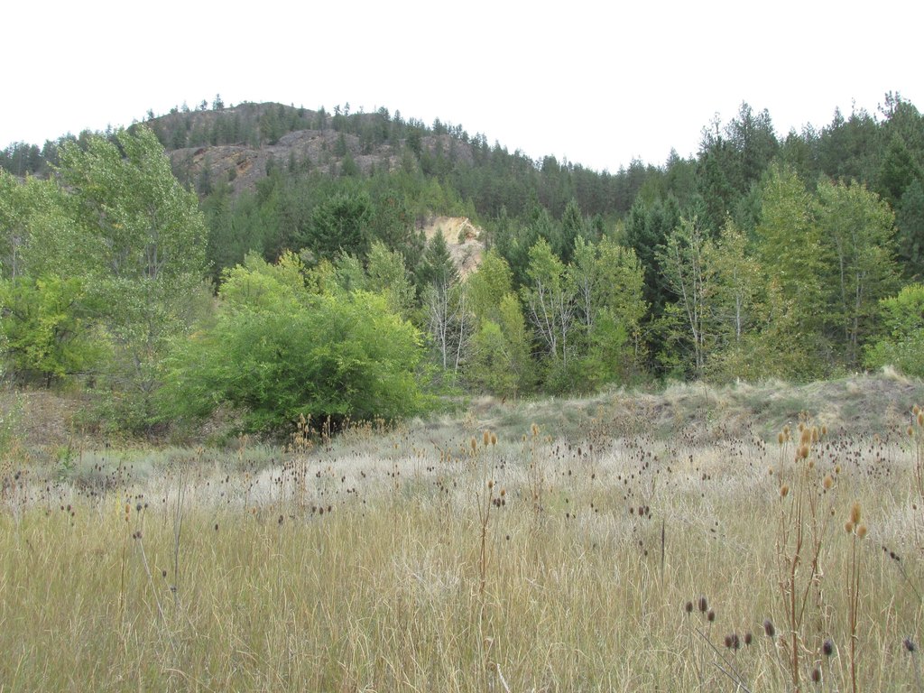 Picture 24