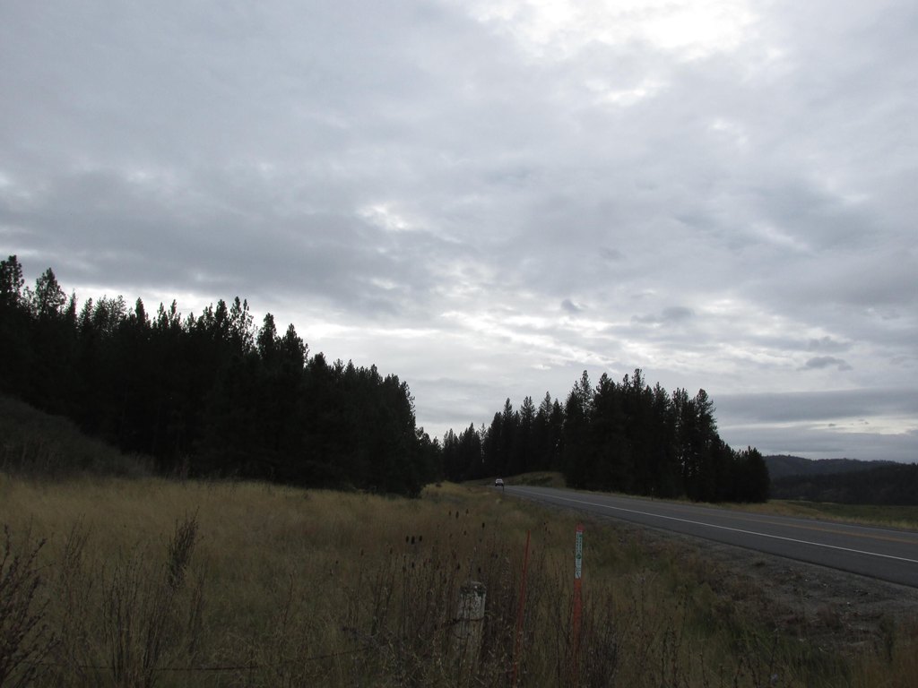 Picture 26