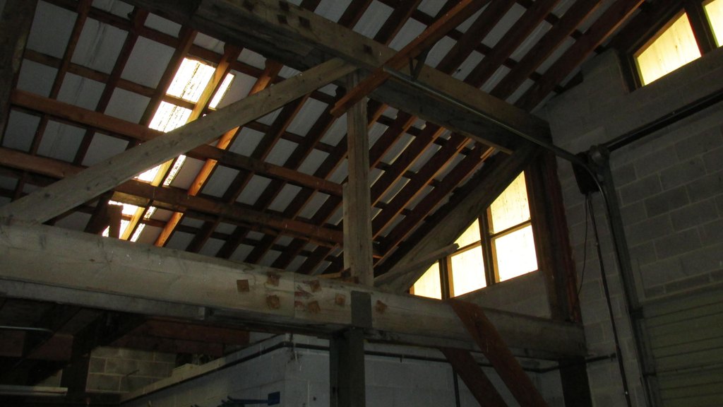 Picture 5