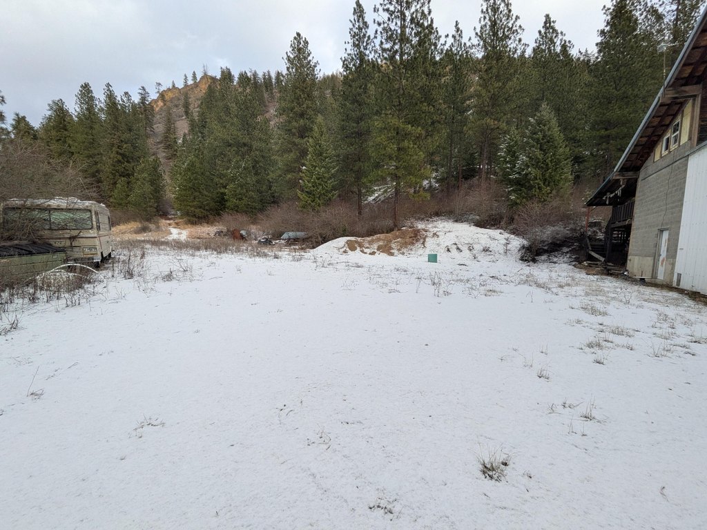 Picture 5