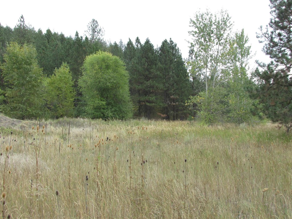 Picture 25