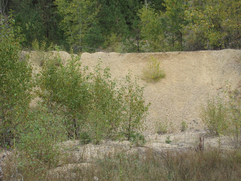 Picture 21