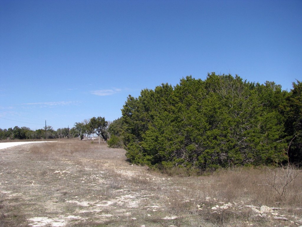 Picture 12