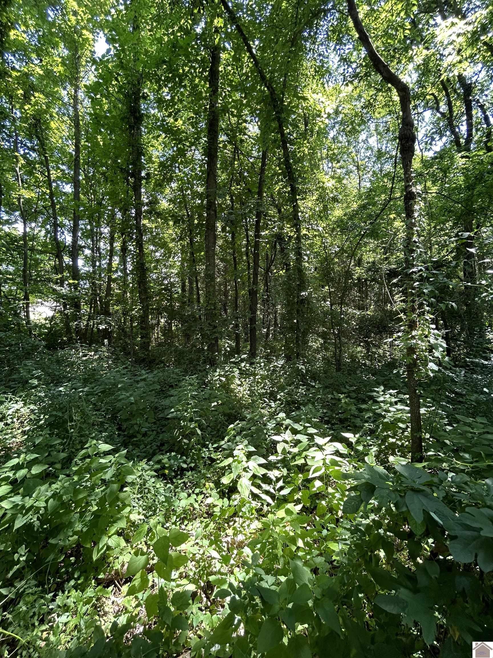 Residential Land Near Lake Barkley